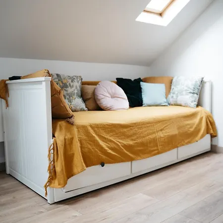 Sous Les Etoiles - Rer A Champigny-st-maur- Parc St-maur Apartment Saint-Maur-des-Fosses